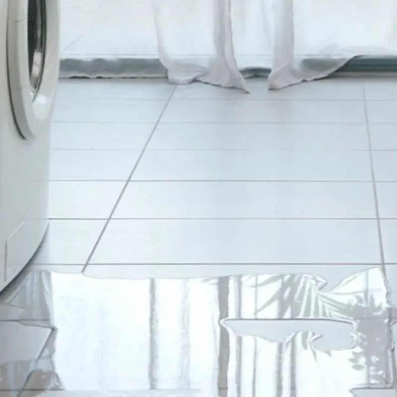 Appliance Leak Cleanup in Arnold, CA